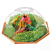 Growing Plant Dinosaur Terrarium Animal Kids Toys